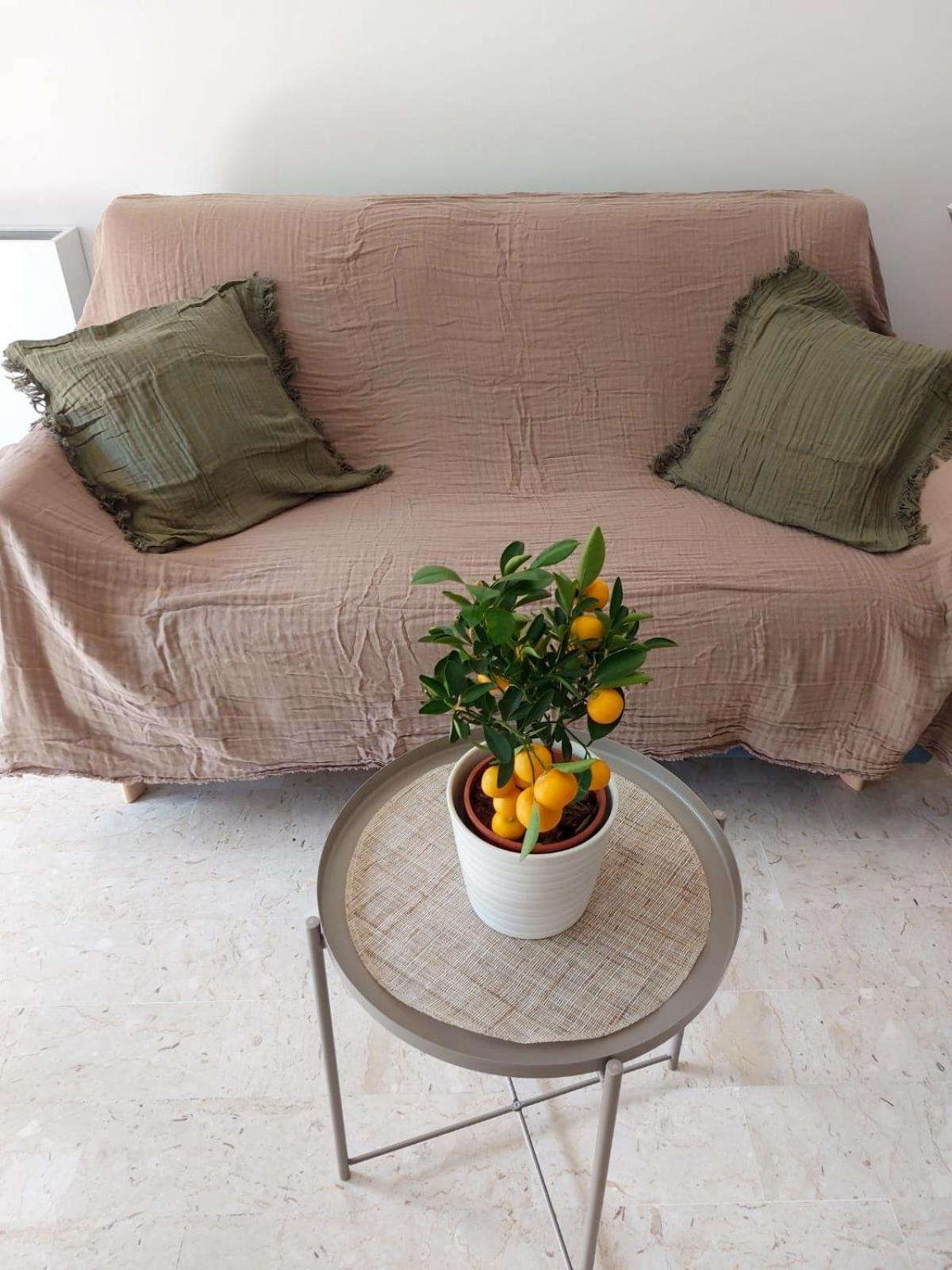Appartement 2P Renove Avec Terrasse Au Port De Nice Eksteriør bilde